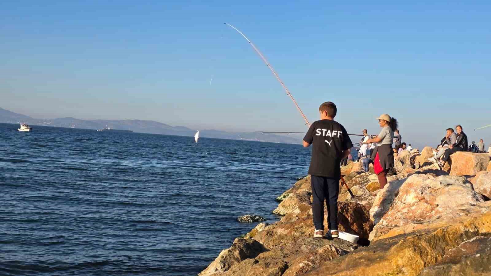 Bandırma sahilinde tırsi bereketi, kovalar kısa sürede doldu