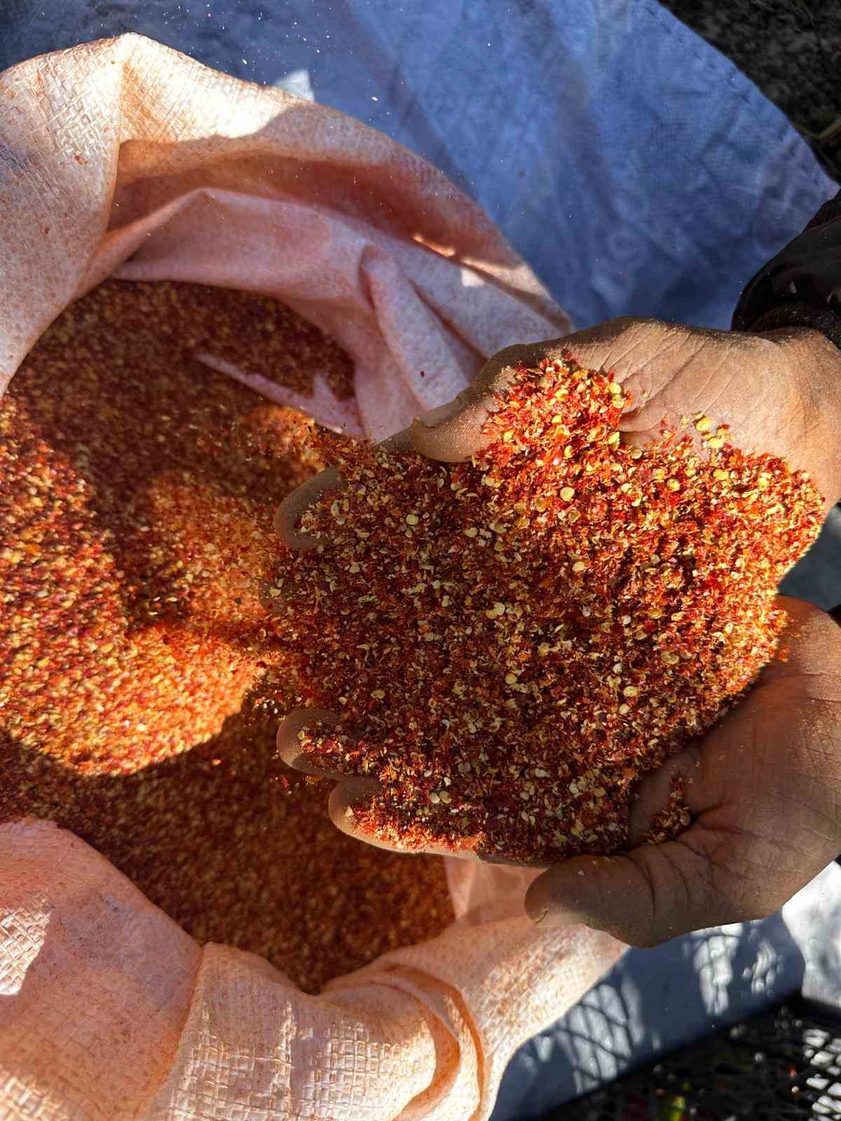 90 yaşındaki annenin evlat sevgisi acı biberi tatlı kıldı