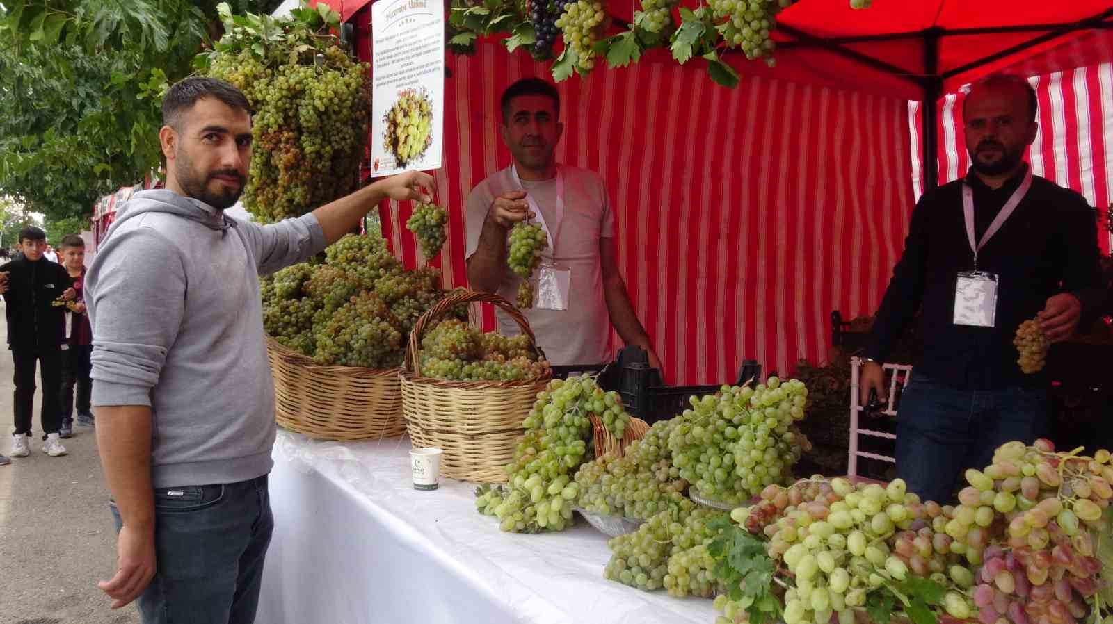 Batman’da lezzet şöleni: Bağ Bozumu ve Gastronomi Festivali kapılarını açtı