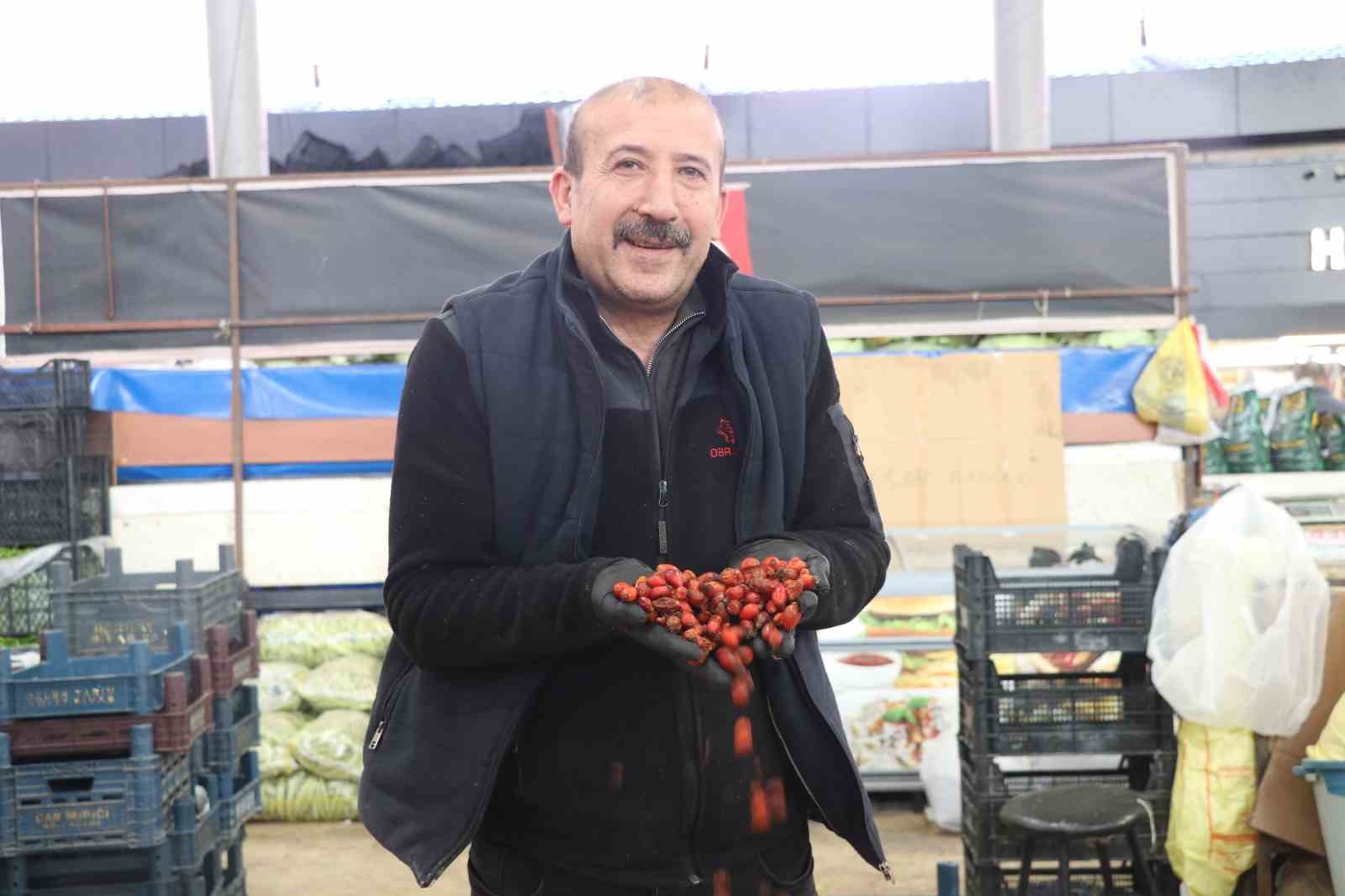 Dikenli dallar arasında zorlu kuşburnu mesaisi