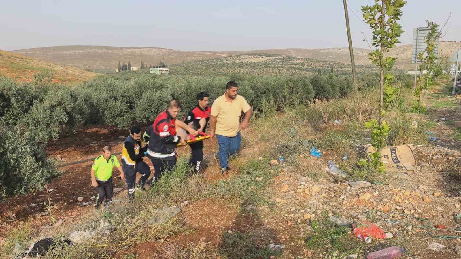Cilvegözü Sınır Kapısı’nda kontrolden çıkan tır zeytin bahçesine uçtu: 1 yaralı