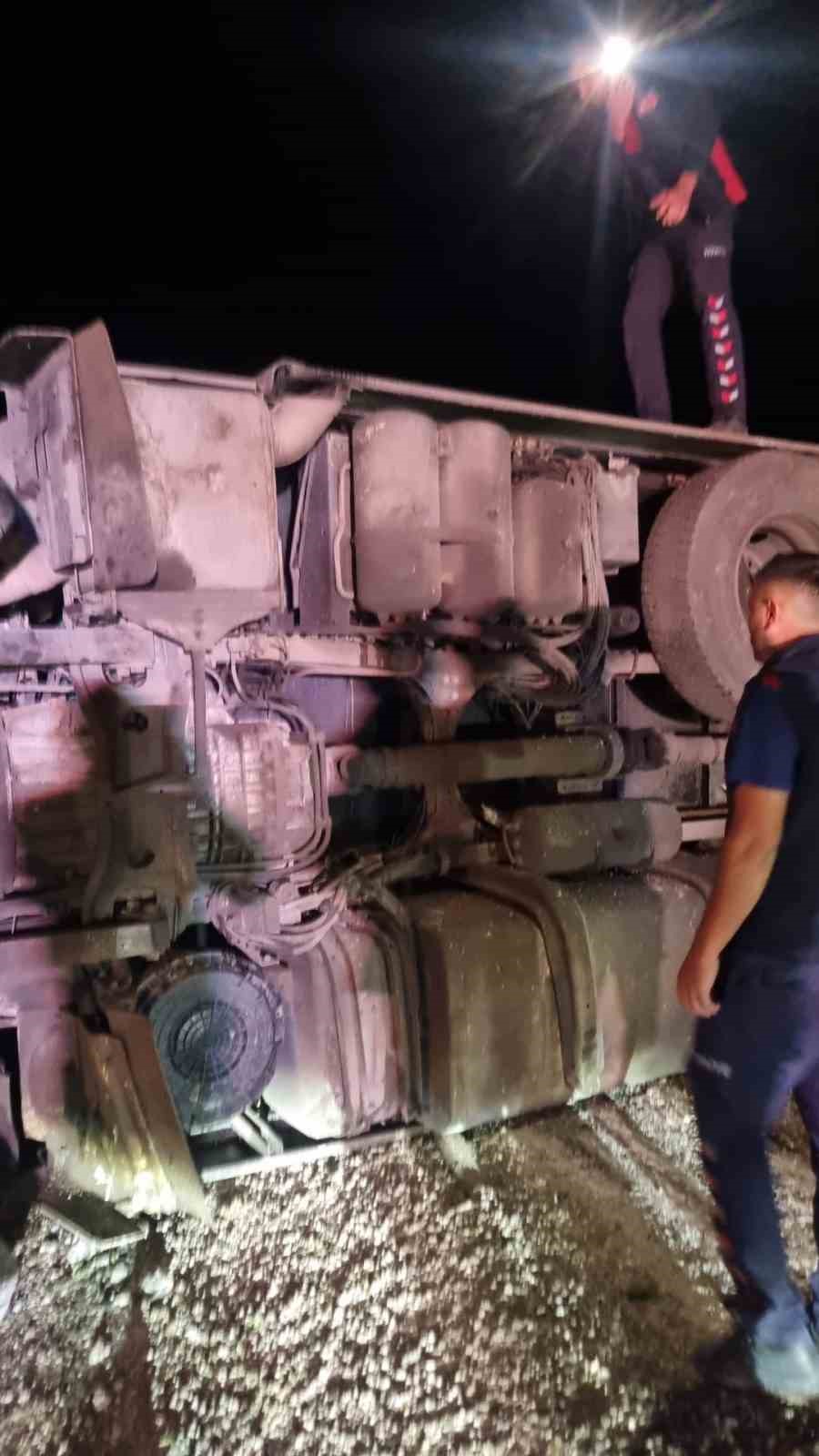 Tavuk yüklü tır devrildi, çok sayıda tavuk telef oldu