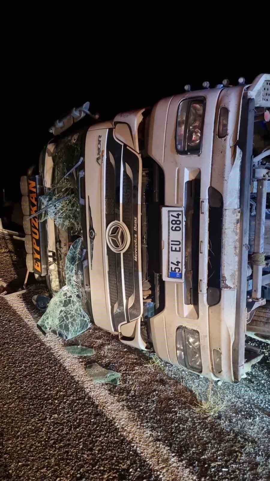 Tavuk yüklü tır devrildi, çok sayıda tavuk telef oldu