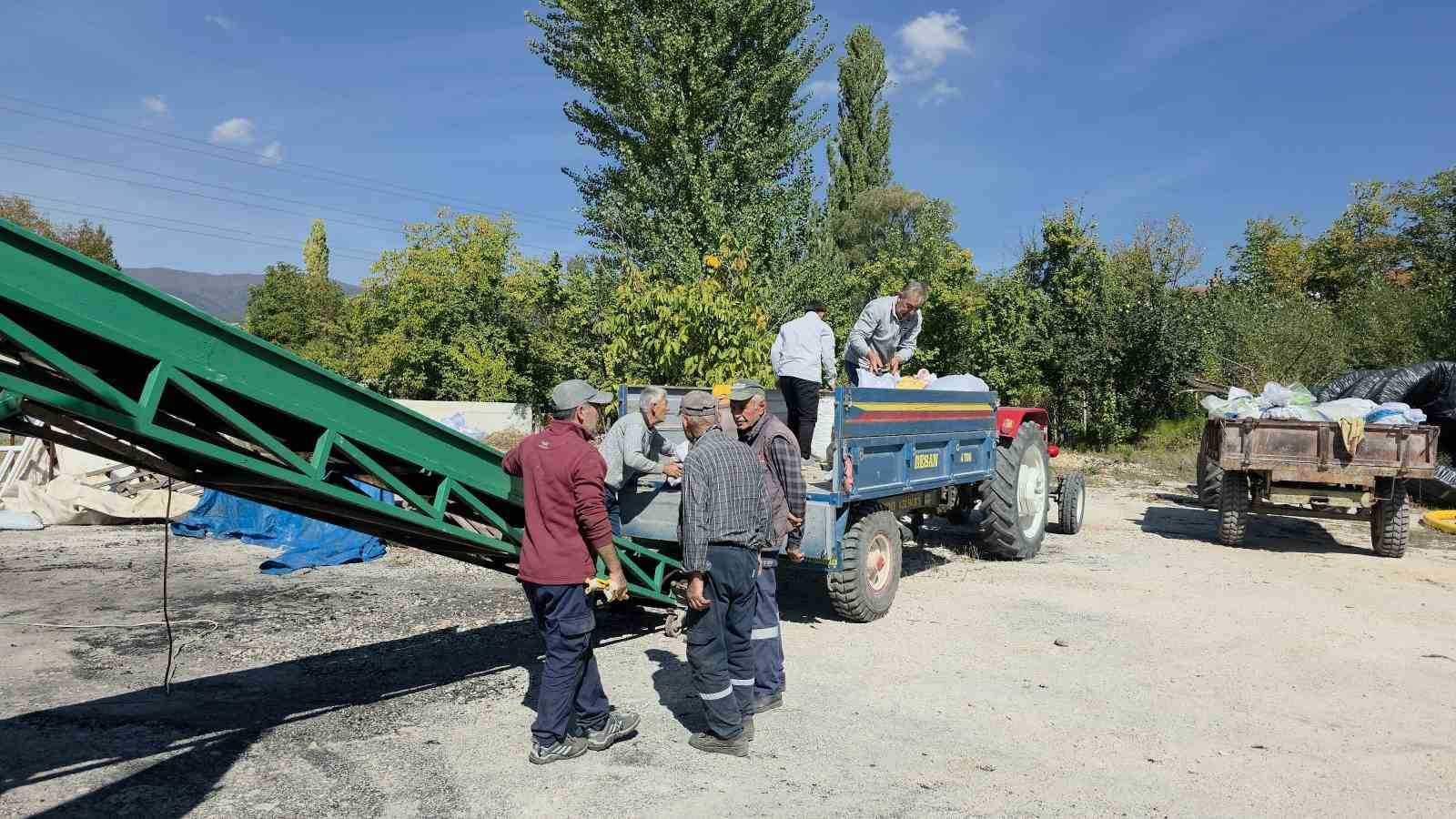 Domaniçli ceviz üreticileri destek bekliyor