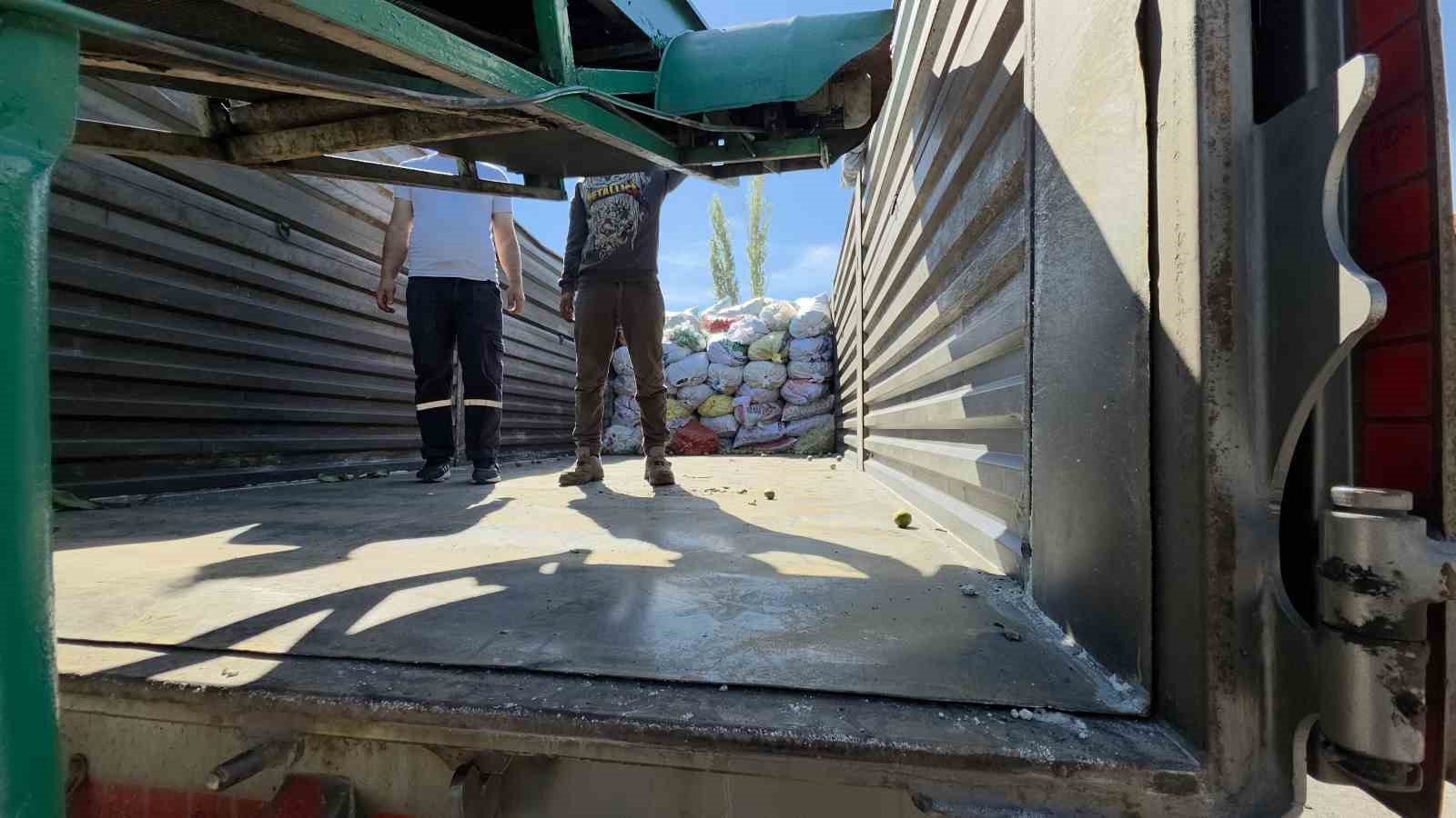Domaniçli ceviz üreticileri destek bekliyor