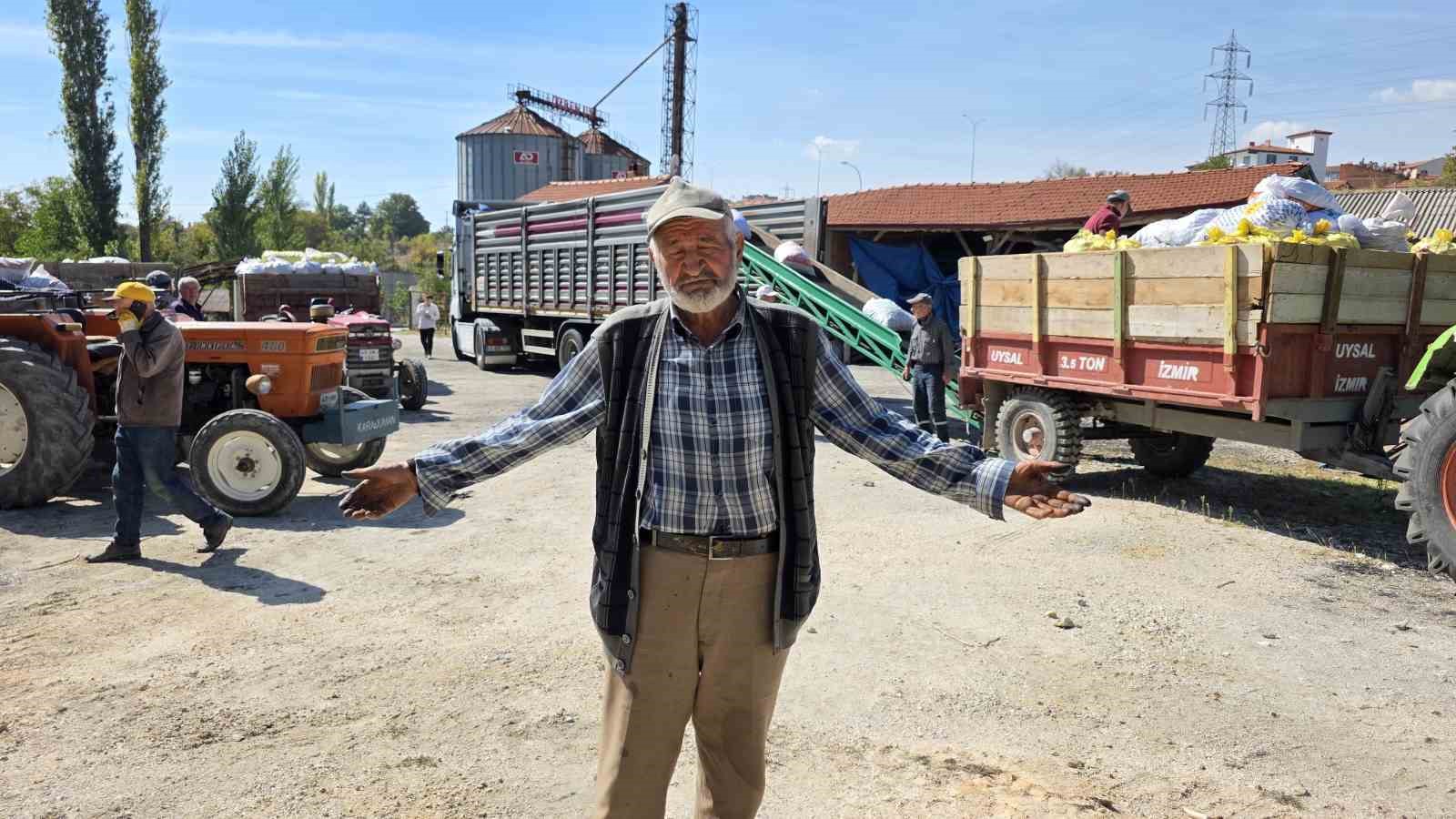 Domaniçli ceviz üreticileri destek bekliyor