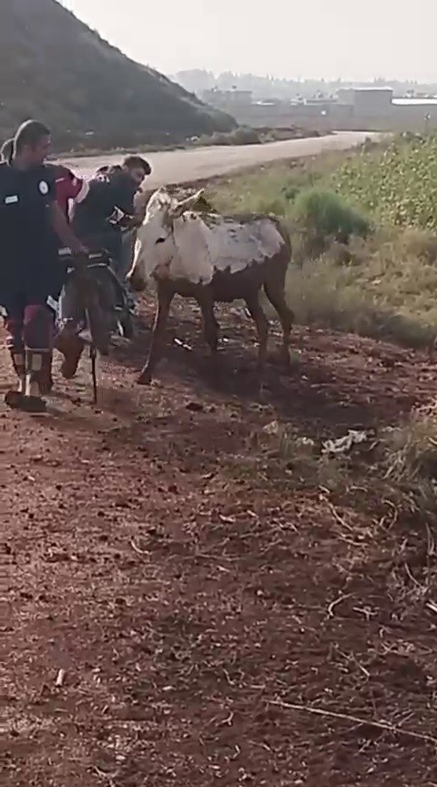 Çamura saplanan eşeği itfaiye ekipleri kurtardı