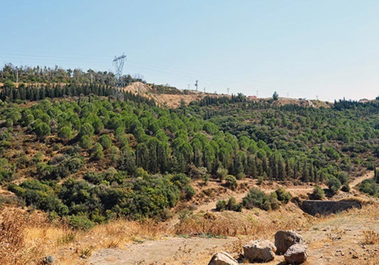 İzmir’de hafriyat toprağına doğa dostu yönetim