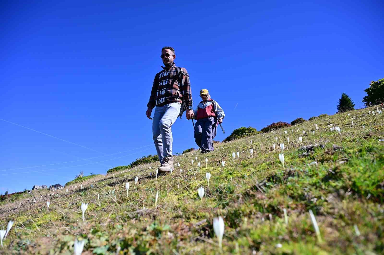 Bir yanda Karadeniz, bir yanda sonbahar: Kürtün’de etkileyici yürüyüş