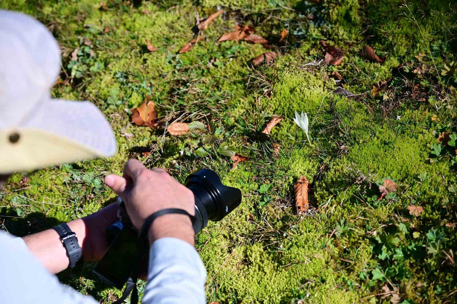 Bir yanda Karadeniz, bir yanda sonbahar: Kürtün’de etkileyici yürüyüş