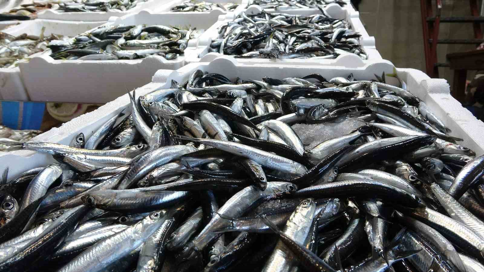 Türkiye’nin hamsi ihracatında artış