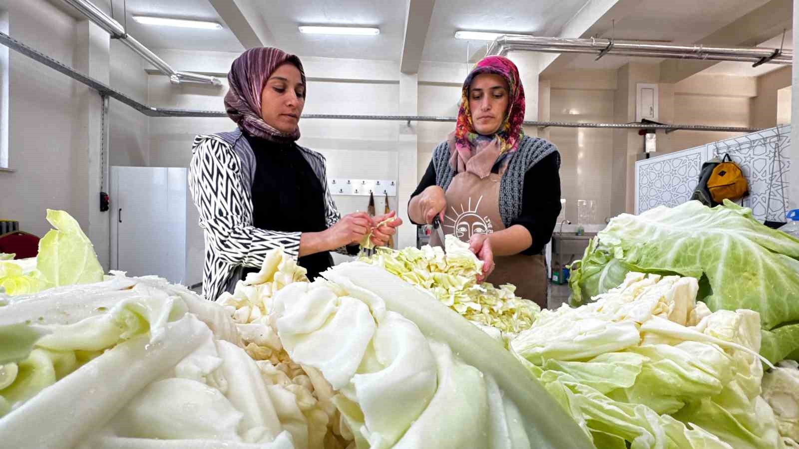 Ağrı’da ata tohumuyla yetişen lahanalar turşuya dönüşüyor