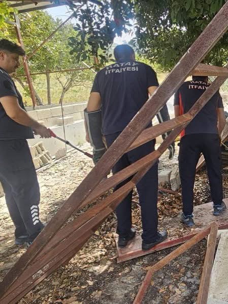 Antakya’da bahçede görülen yılan doğal yaşam alanına bırakıldı