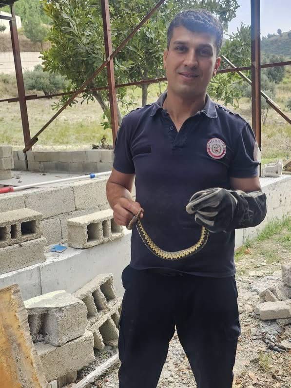 Antakya’da bahçede görülen yılan doğal yaşam alanına bırakıldı