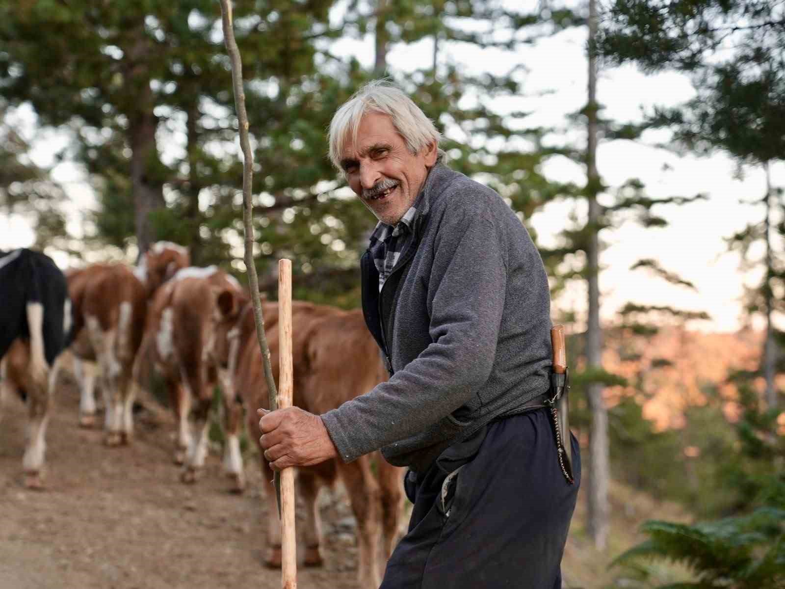 Yaylada vargit çiçekleri açtı, dönüş yolculuğu başladı