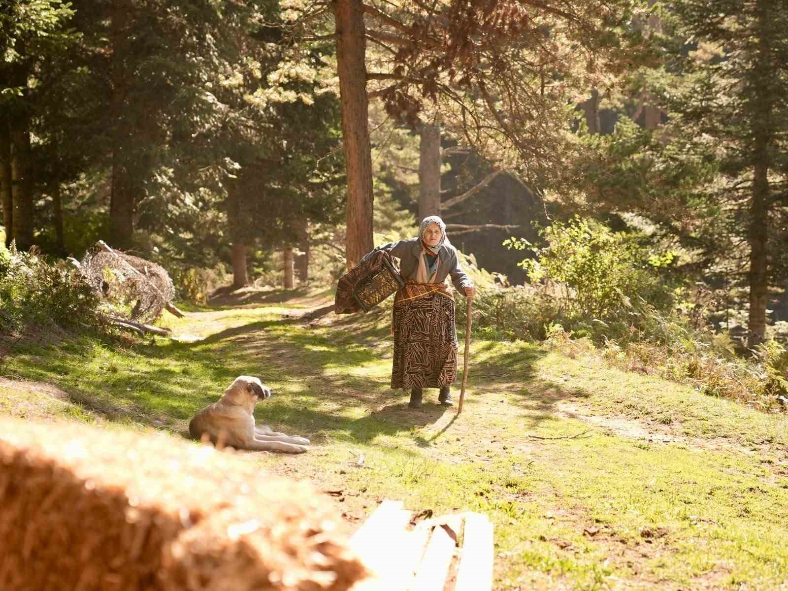 Yaylada vargit çiçekleri açtı, dönüş yolculuğu başladı