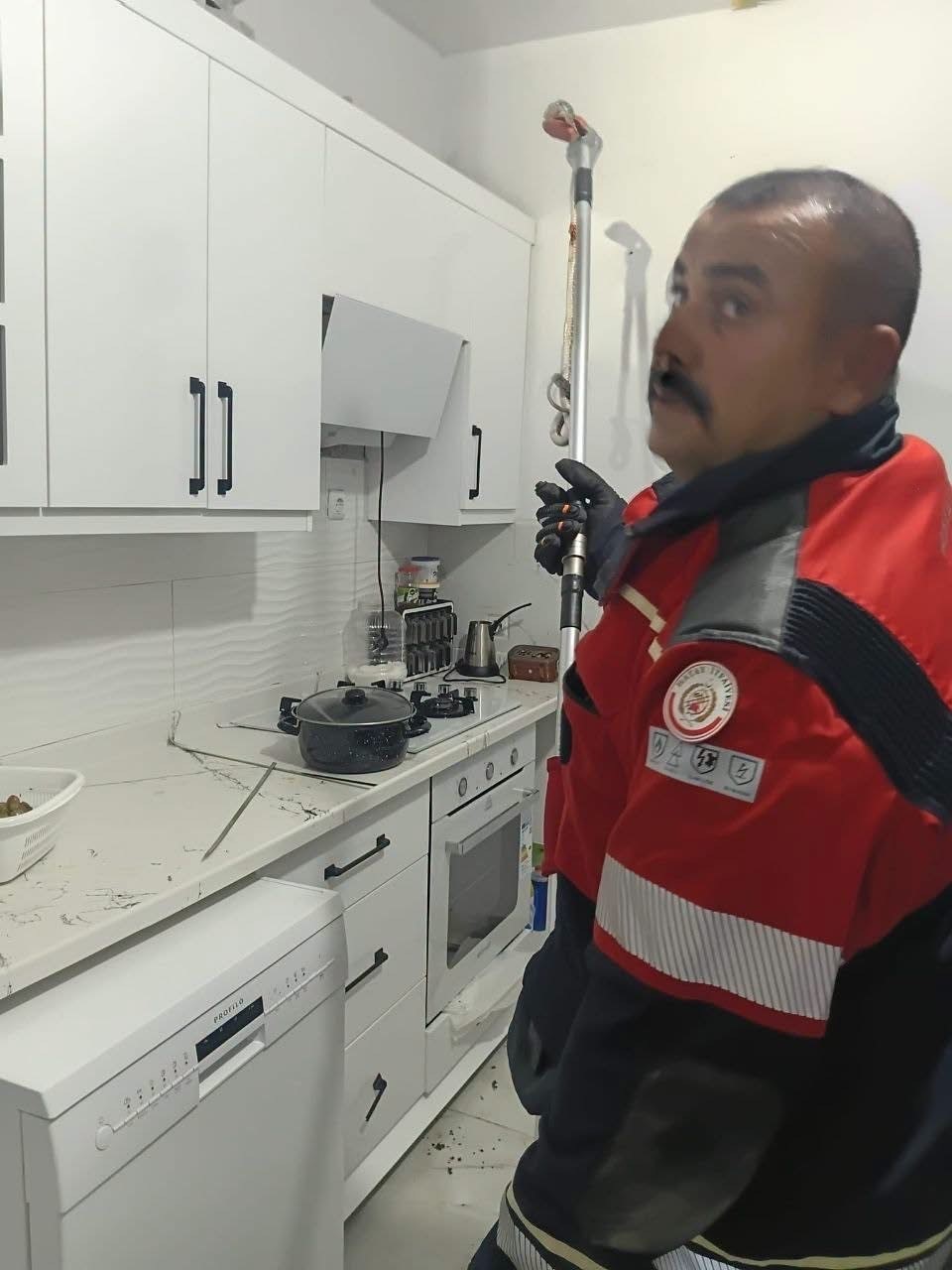 Hassa’da evde görülen yılan itfaiye ekiplerince yakalandı