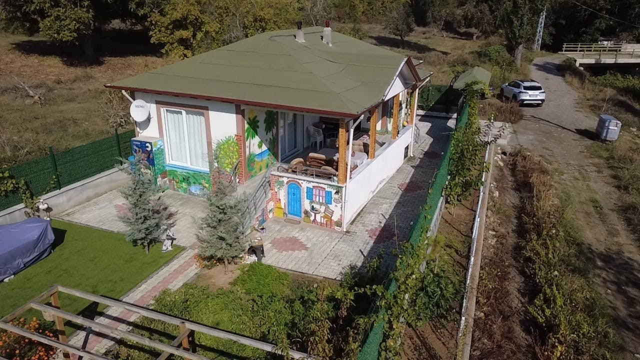 Çocukluk hayalini evinin duvarına yansıttı: Müstakil evini sergi salonuna dönüştürdü