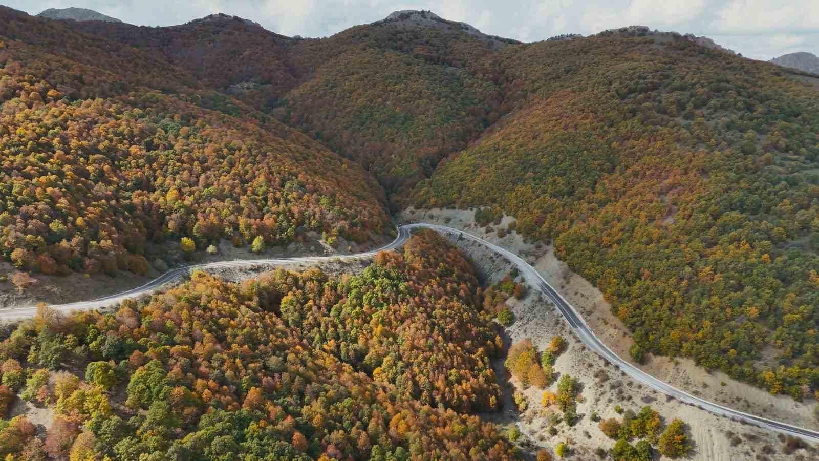 Yozgat’ta bin 550 rakımda sonbahar şöleni: Şebek Geçidi dronla görüntülendi