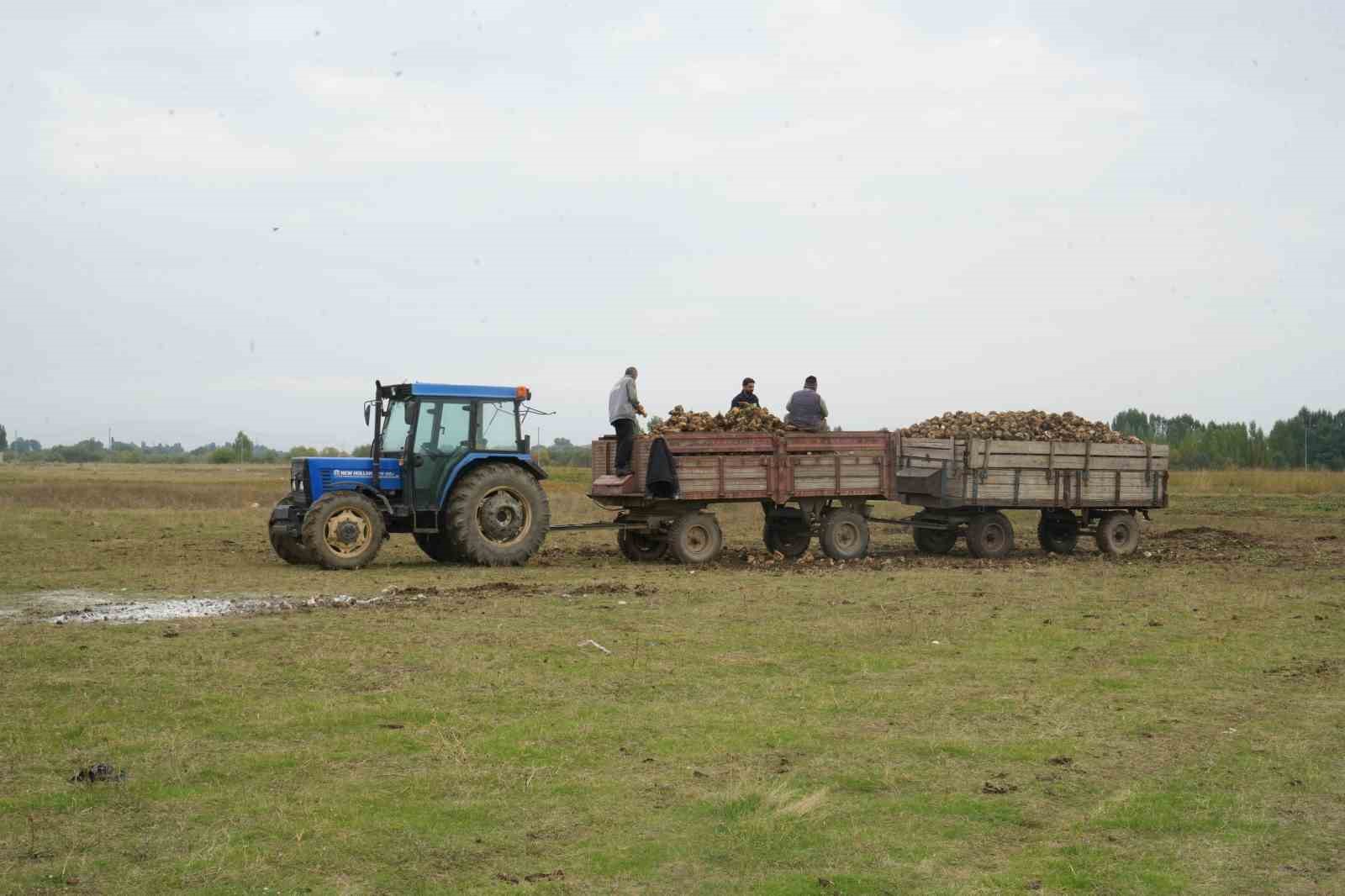 Muş ekonomisine pancardan 2 buçuk milyar TL’lik katkı