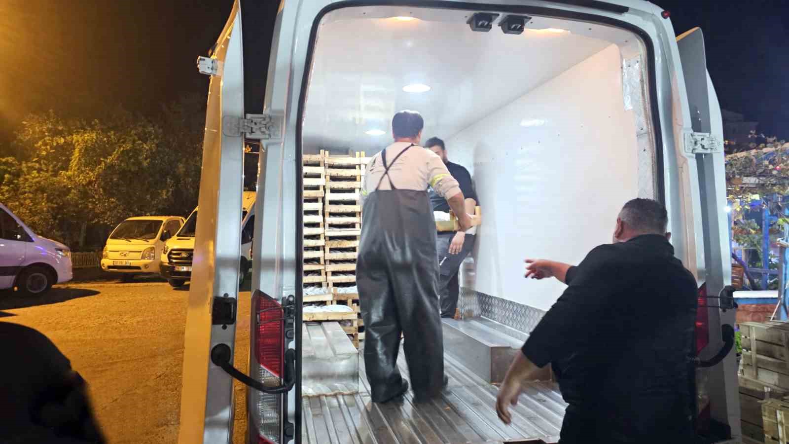 Karadeniz’e palamut bereketi sürüyor: Kasa kasa palamutla limana dönüyorlar