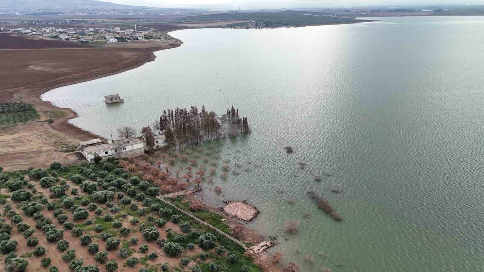 Aşırı yağışlarla birlikte sular altında kalan köy olta balıkçılarının uğrak noktası oldu
