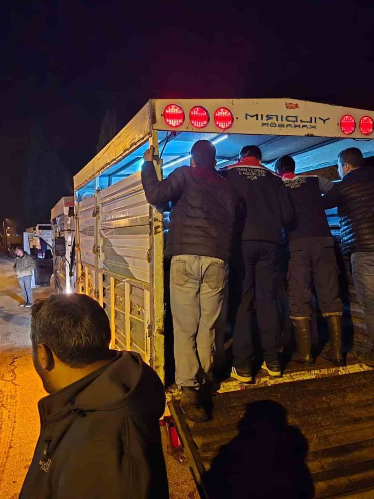 Çine Hayvan Pazarı denetimlerle yeniden açıldı