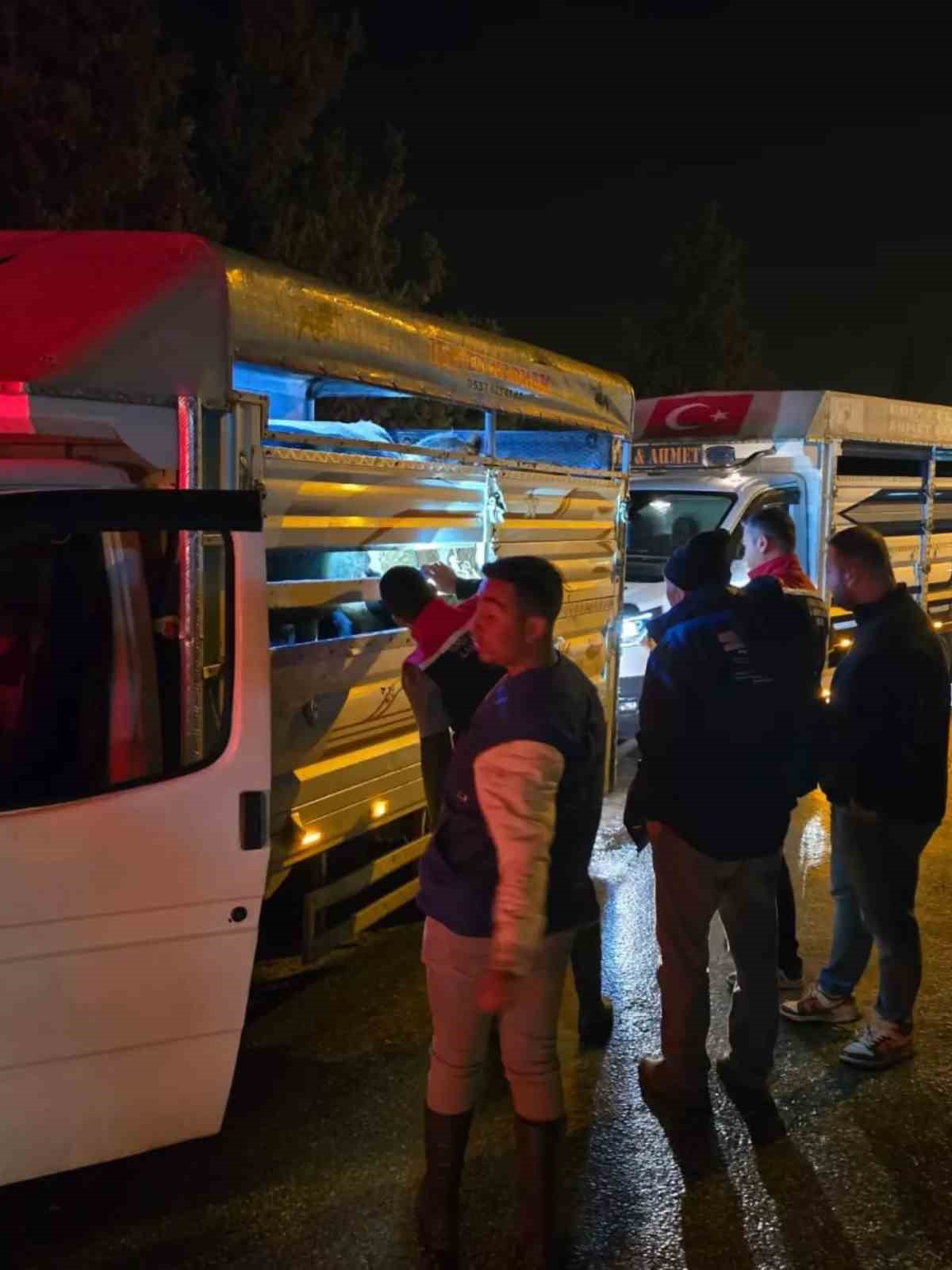 Çine Hayvan Pazarı denetimlerle yeniden açıldı