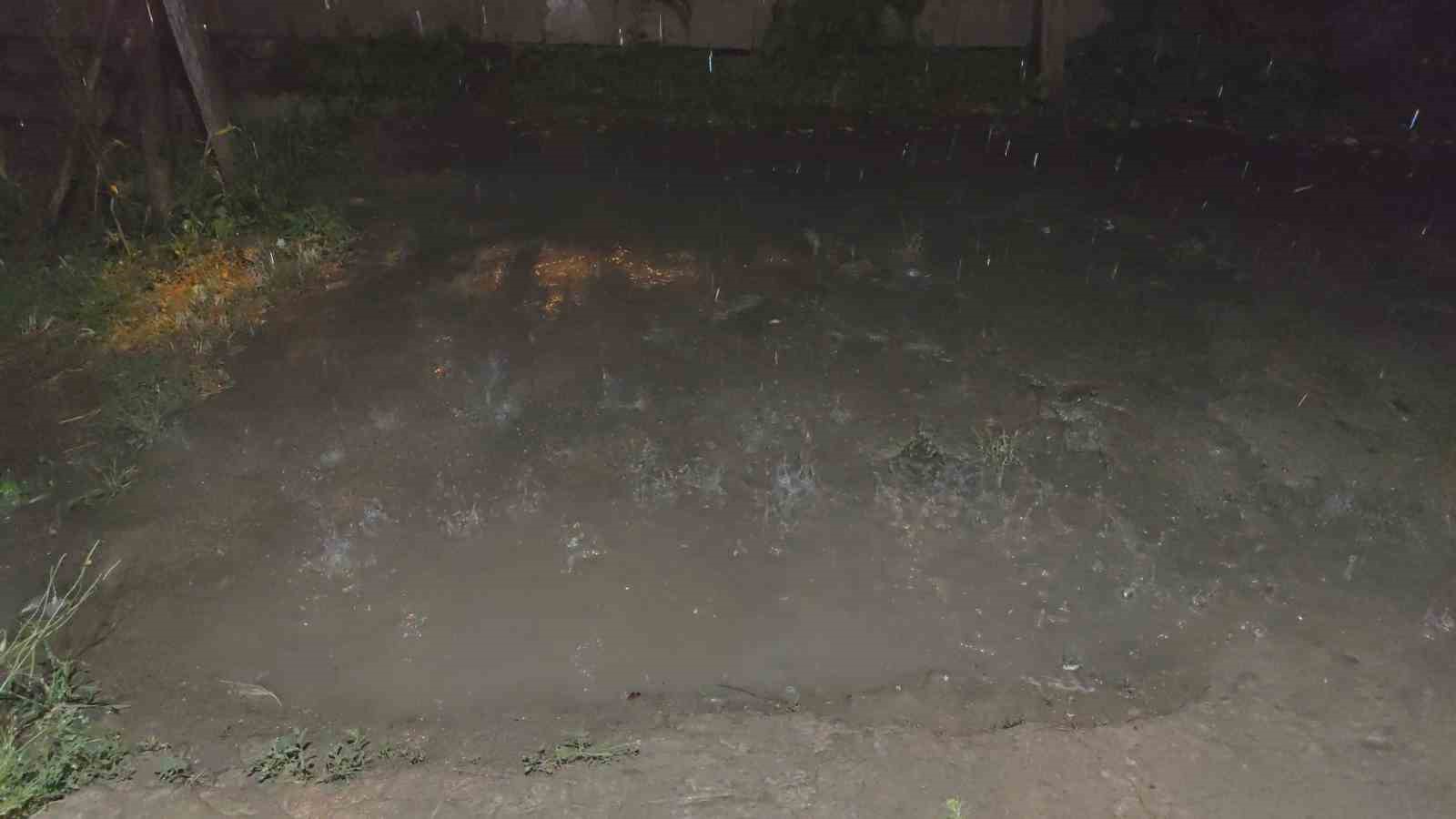 Erciş’te şiddetli yağmur etkili oldu