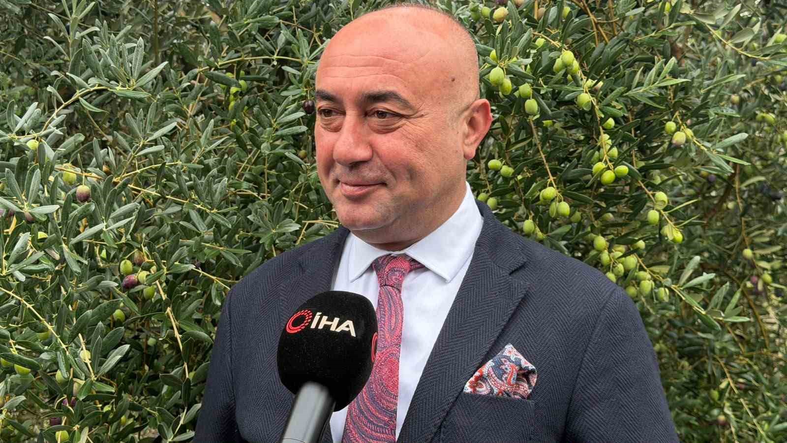 Marmarabirlik’ten 60 bin tonluk alım planı...Türkiye’de zeytinde rekor rekolte beklentisi