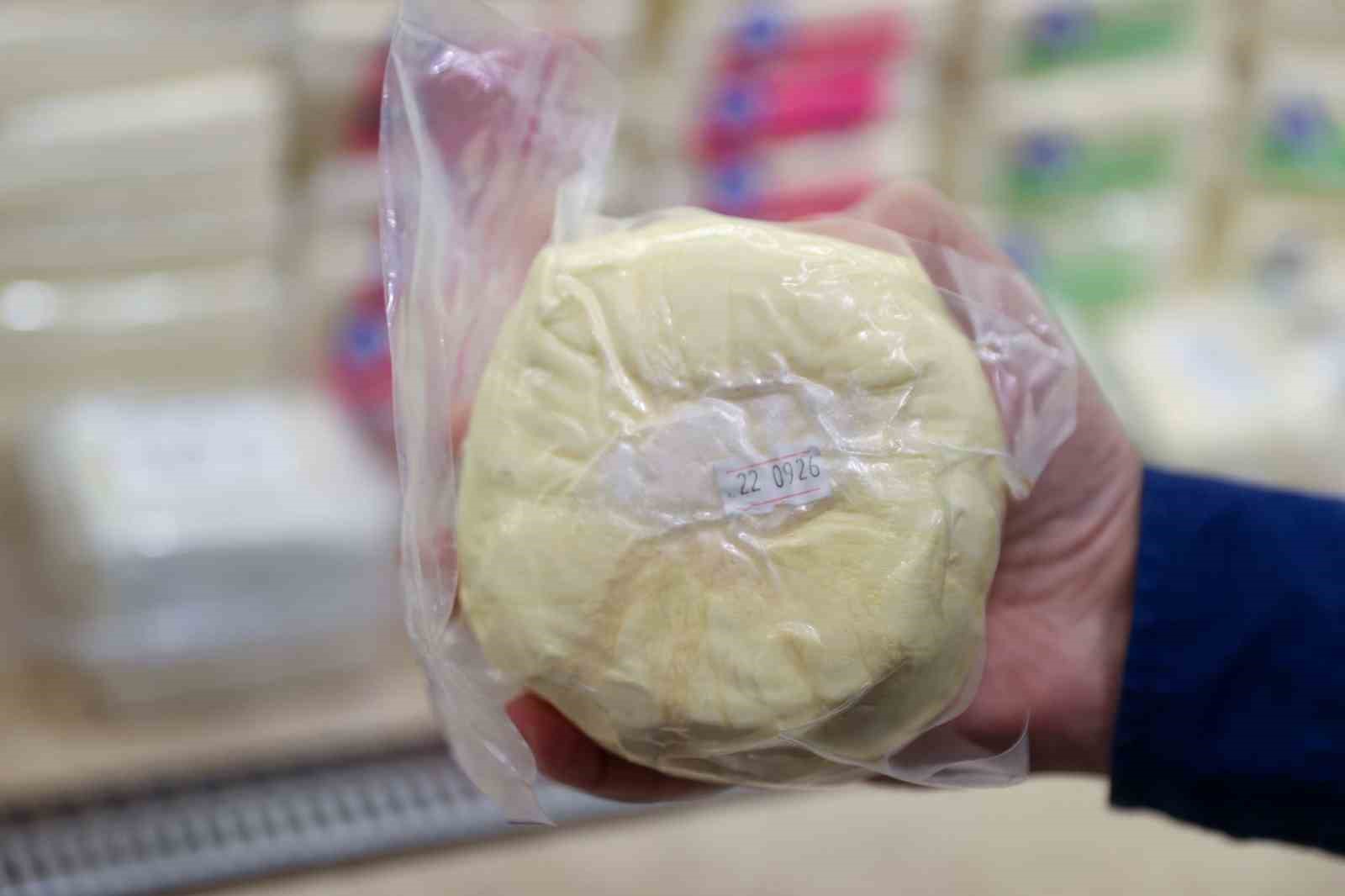 Vatandaşın sağlığıyla oynuyorlar: 109,5 kilogram süt ürünü imha edildi