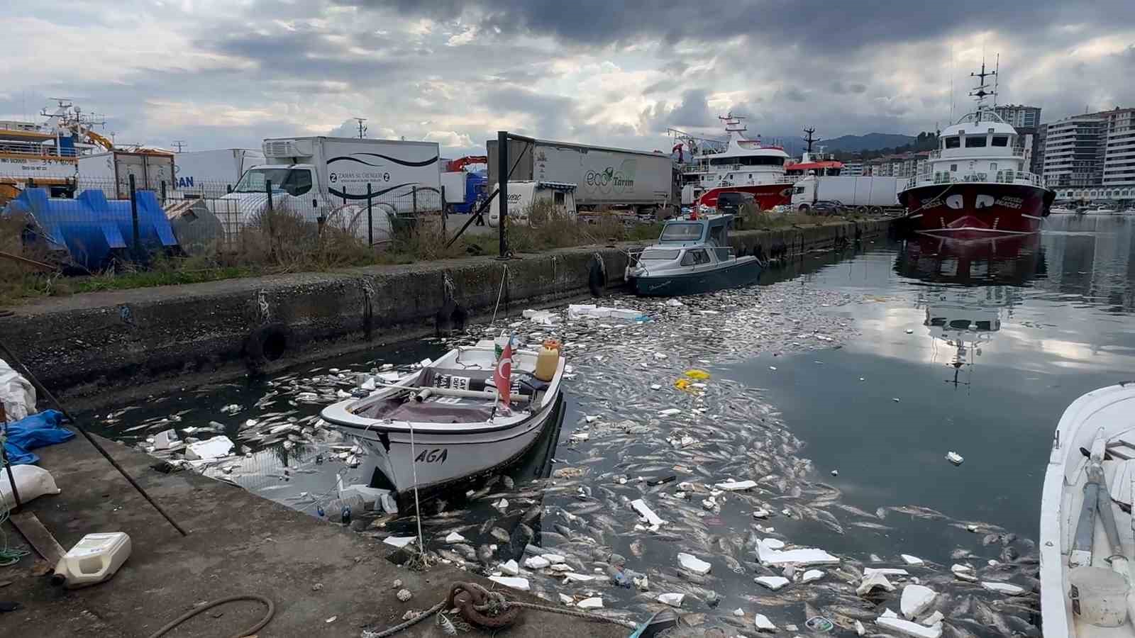 Balık çöplüğüne dönen liman temizlendi