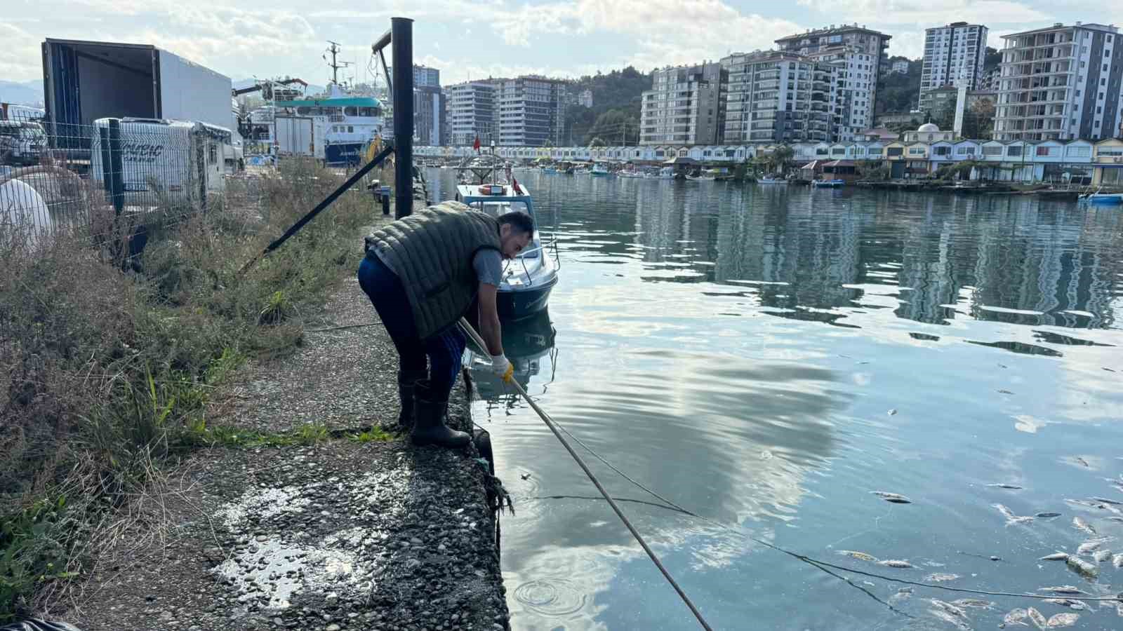 Balık çöplüğüne dönen liman temizlendi