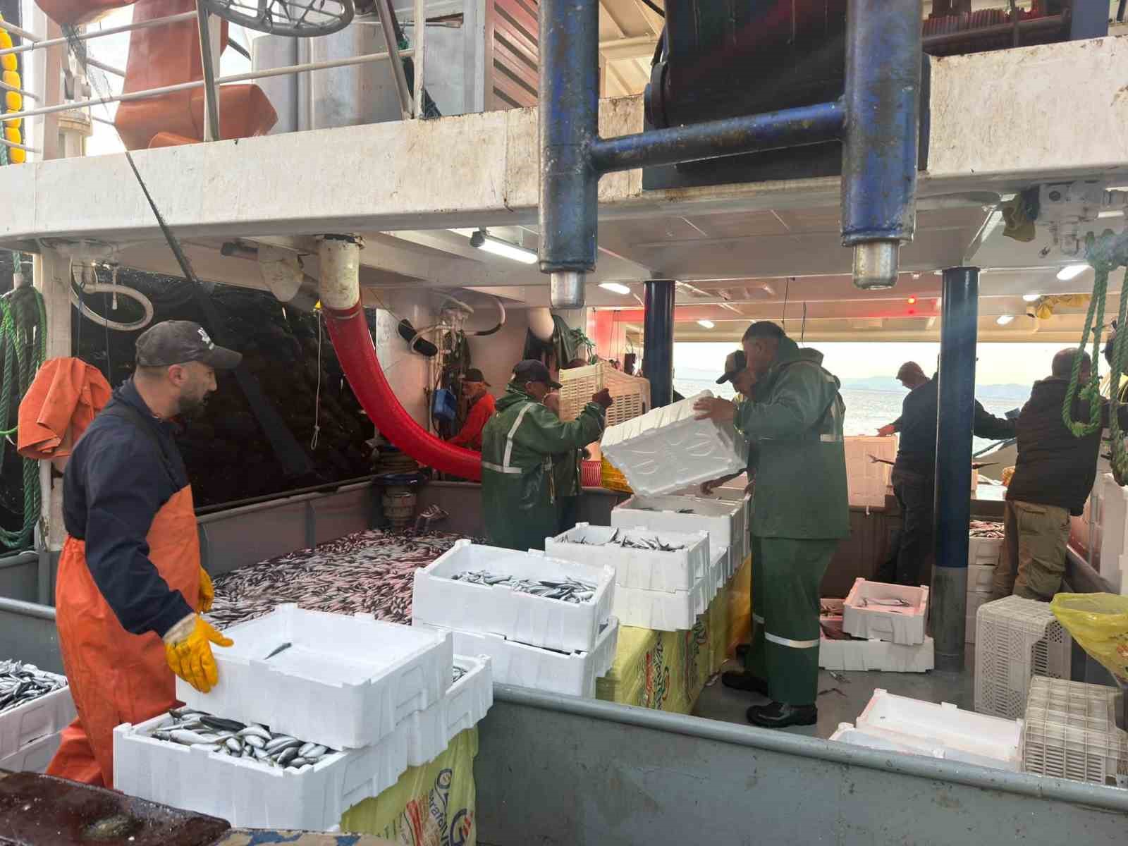 Didim’de hamsi kotası denetimleri sürüyor