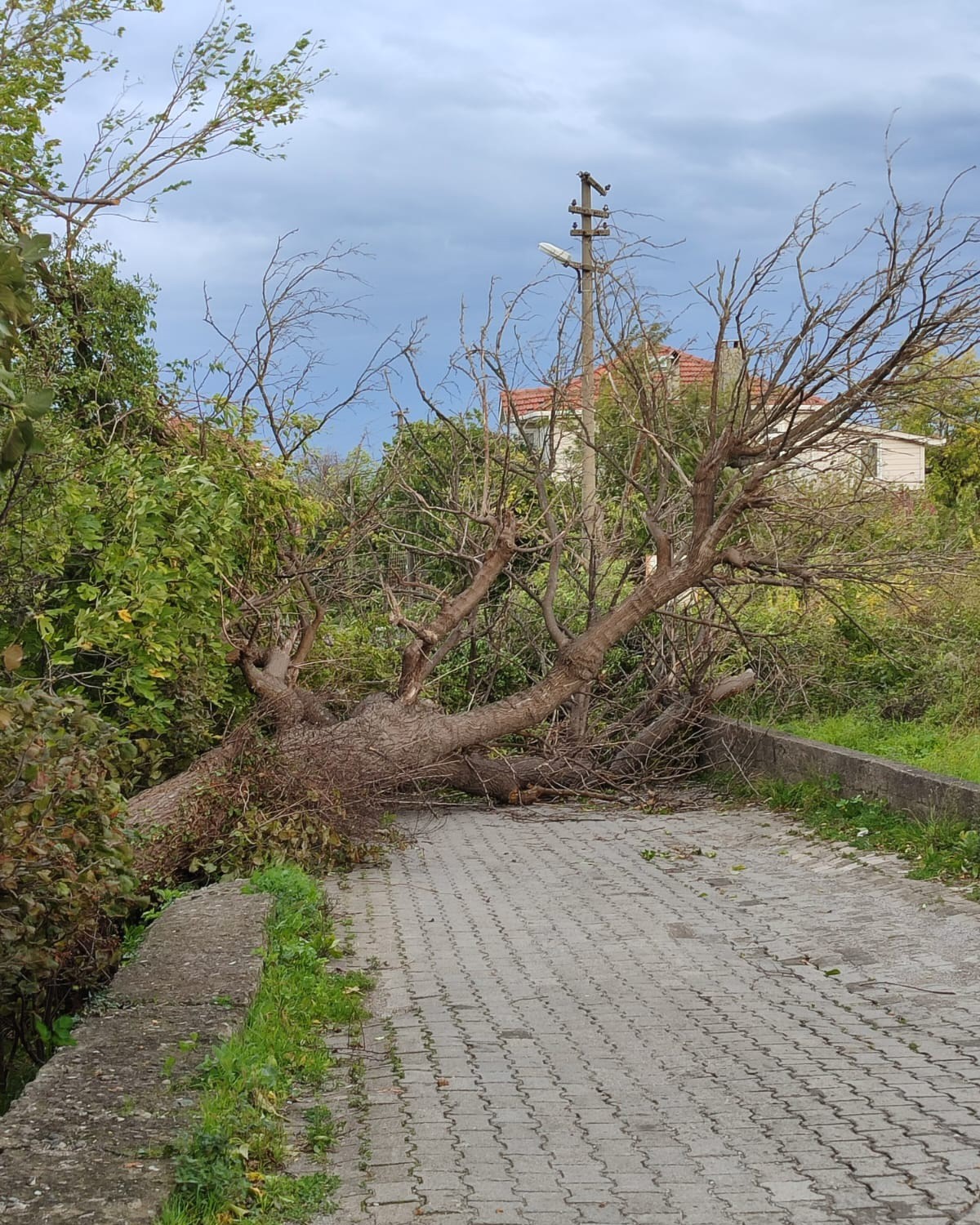 Kastamonu’nun sahil ilçelerinde fırtına hayatı olumsuz etkiledi