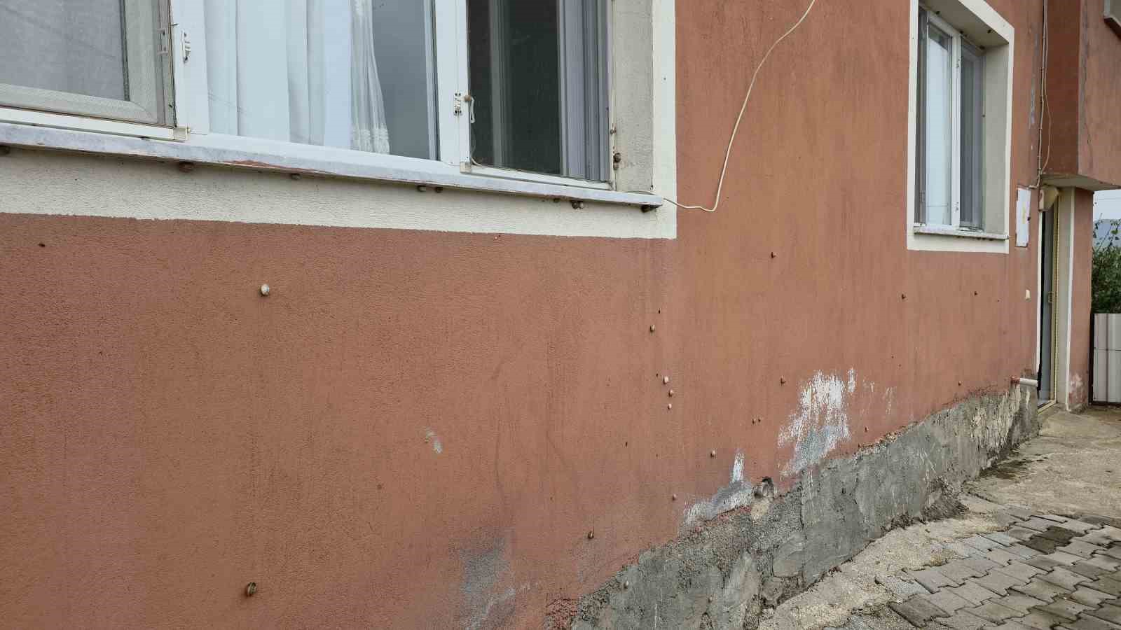Depremin ardından ortaya çıkan salyangozlar mahalleyi ele geçirdi