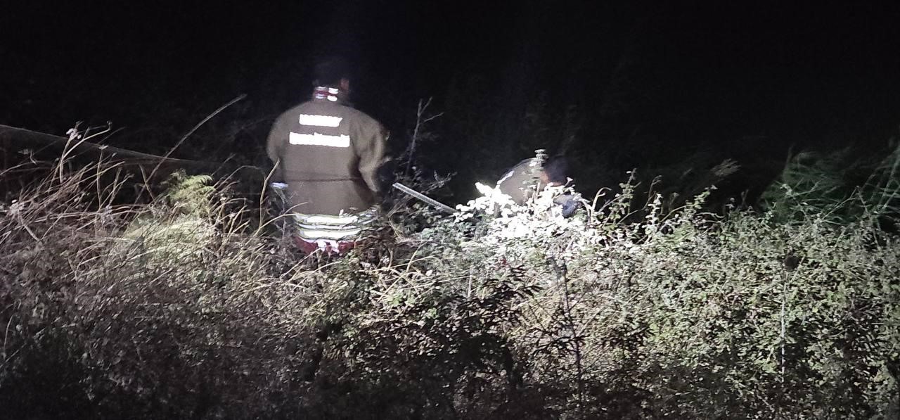 Asi Nehri’ne düşen koç itfaiye ekiplerinin zorlu çalışmasıyla kurtarıldı