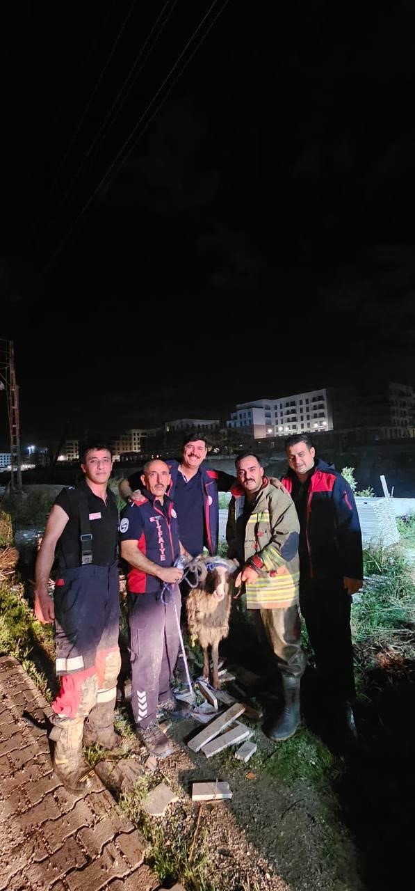 Asi Nehri’ne düşen koç itfaiye ekiplerinin zorlu çalışmasıyla kurtarıldı