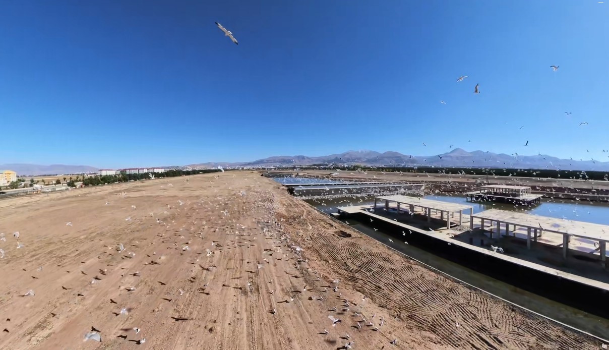 Erzurum’da binlerce martı dron kamerasına yansıdı