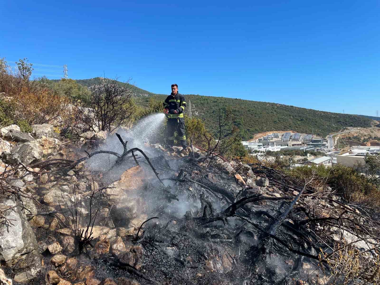 Bodrum’da alevler makilik alana yayıldı