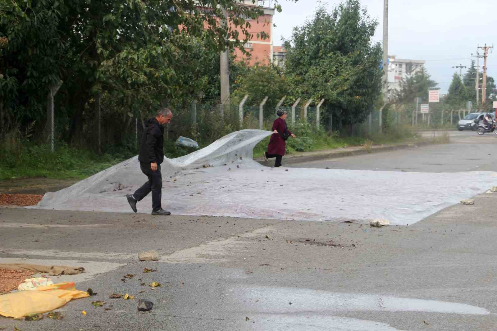 Üreticilerin zorlu fındık kurutma mesaisi: Bazı fındıklar çürümeye başladı
