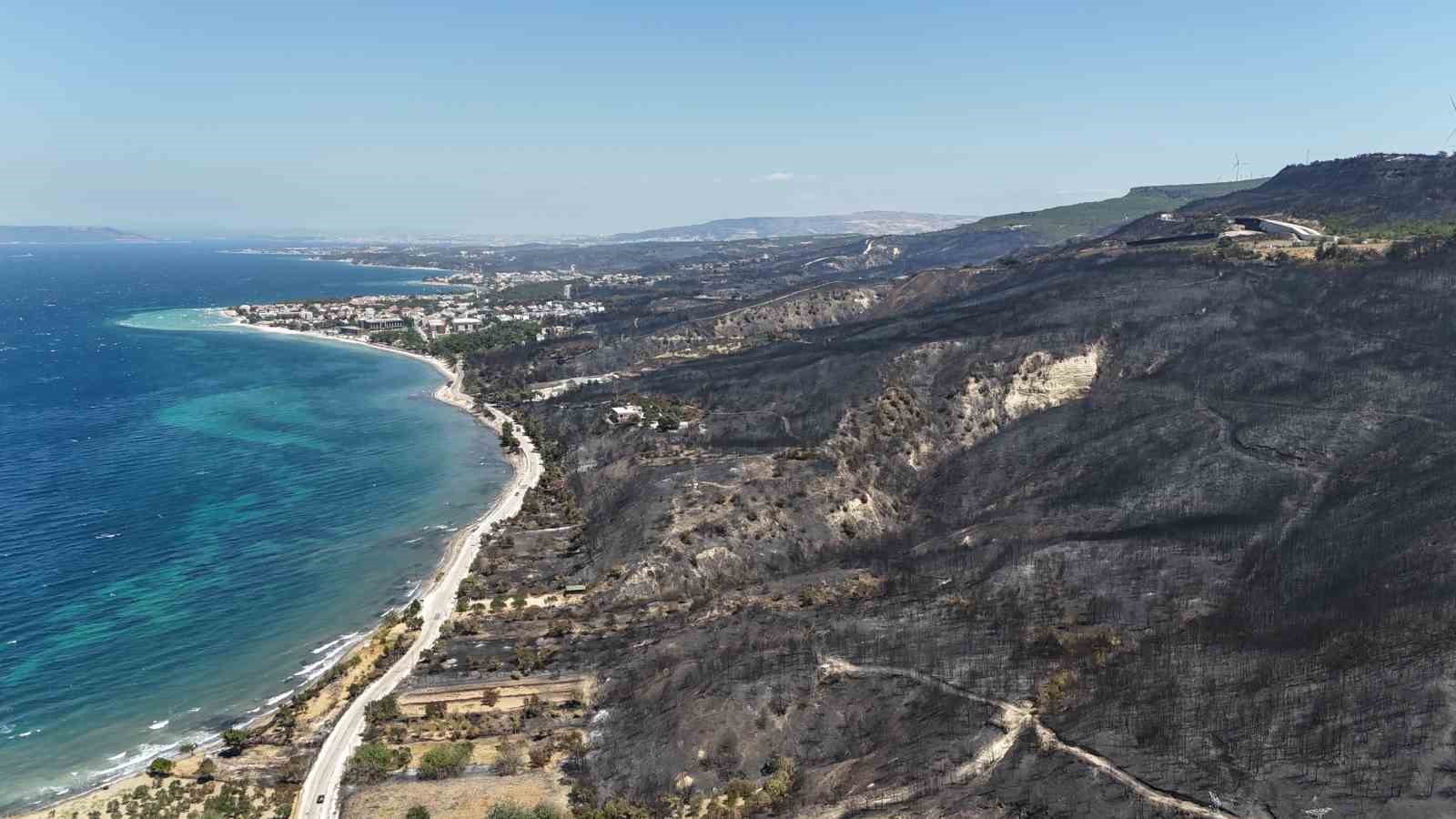Çanakkale’de yanan ormanlar küllerinden doğuyor