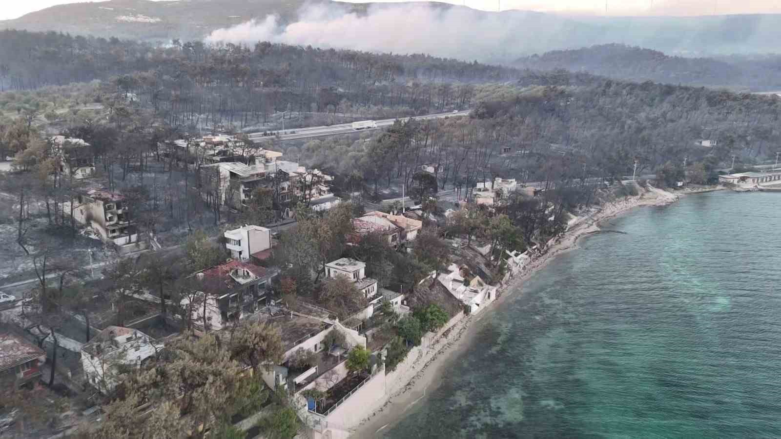 Çanakkale’de yanan ormanlar küllerinden doğuyor