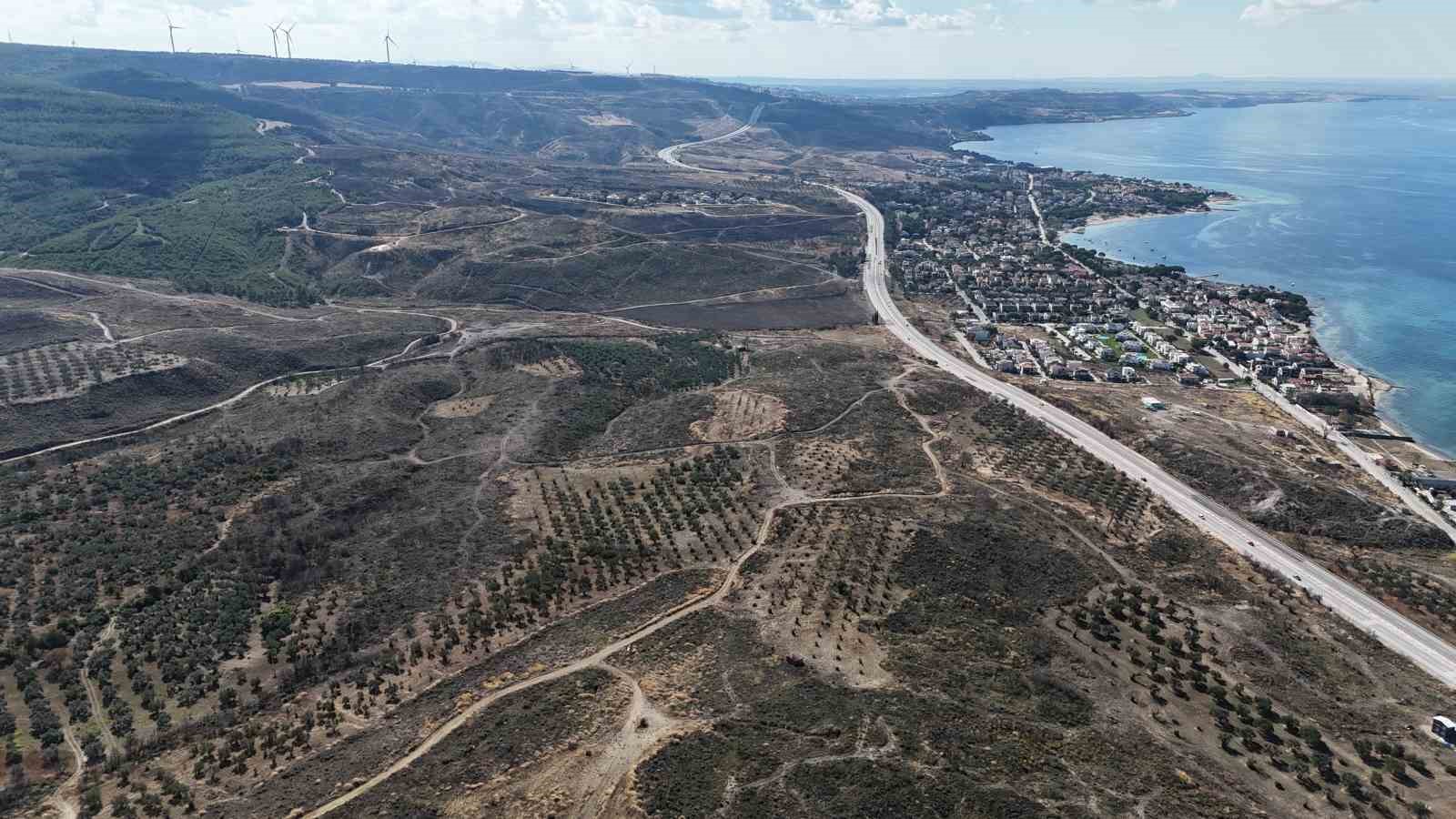 Çanakkale’de yanan ormanlar küllerinden doğuyor