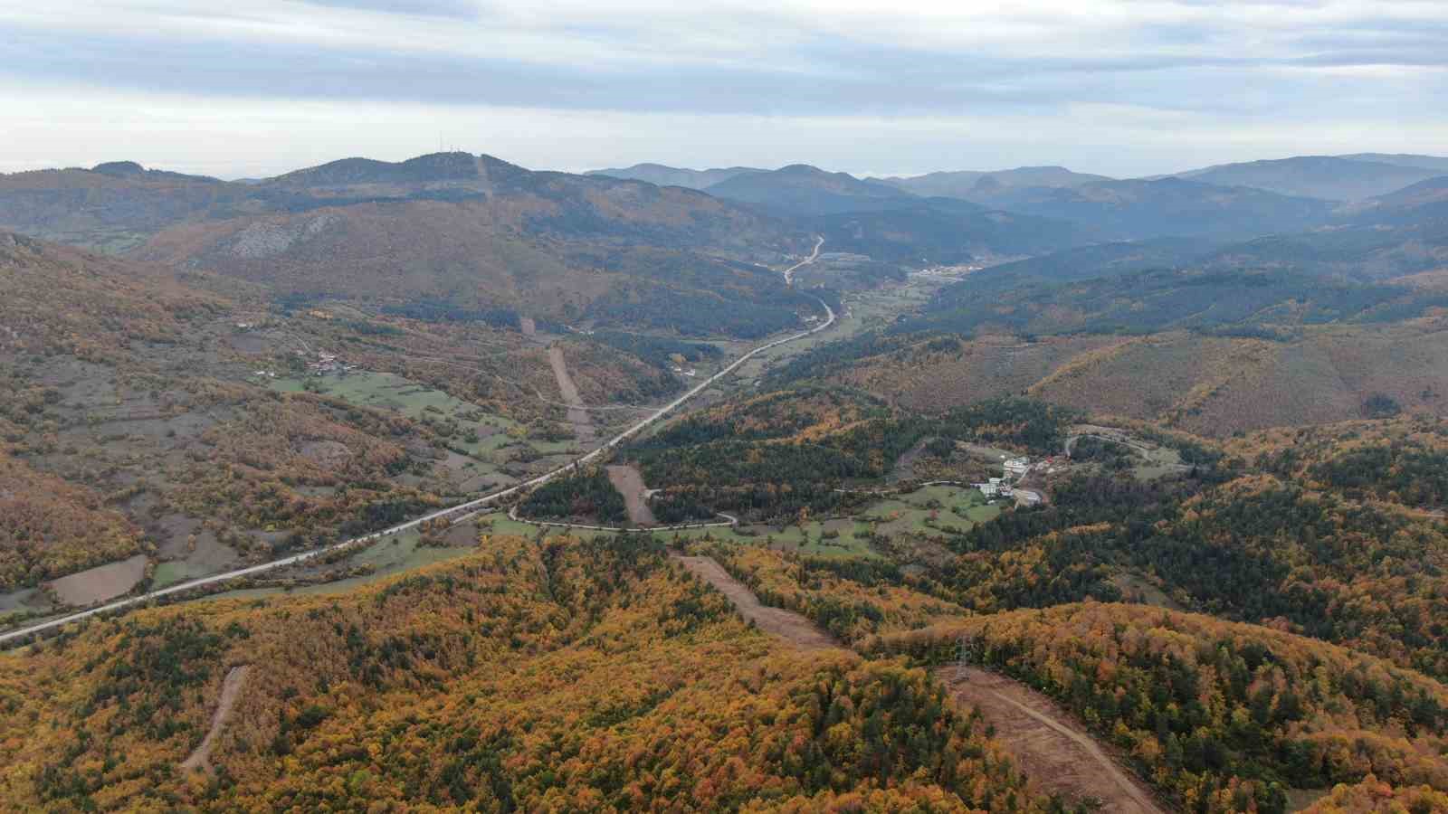 Küre Dağları Milli Parkında renk cümbüşü yaşanan ormanlar büyülüyor