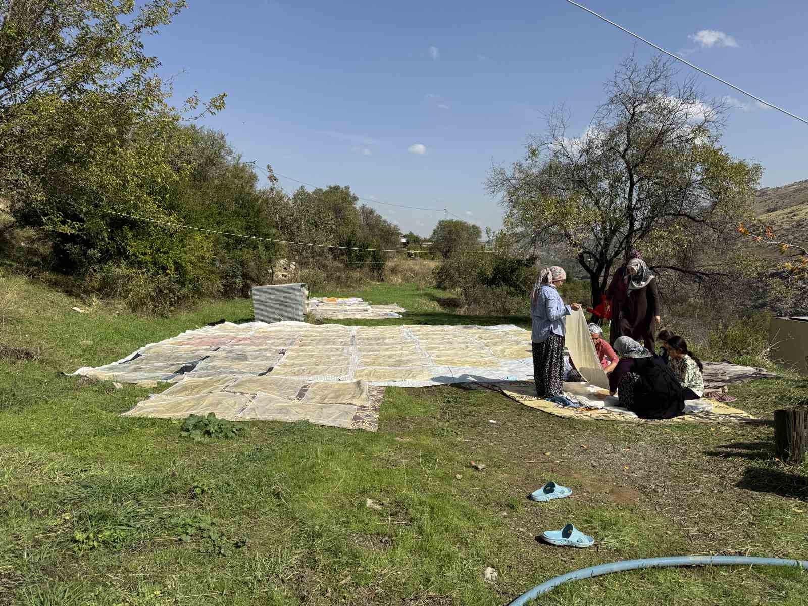 Diyarbakır’da bağ bozumu başladı