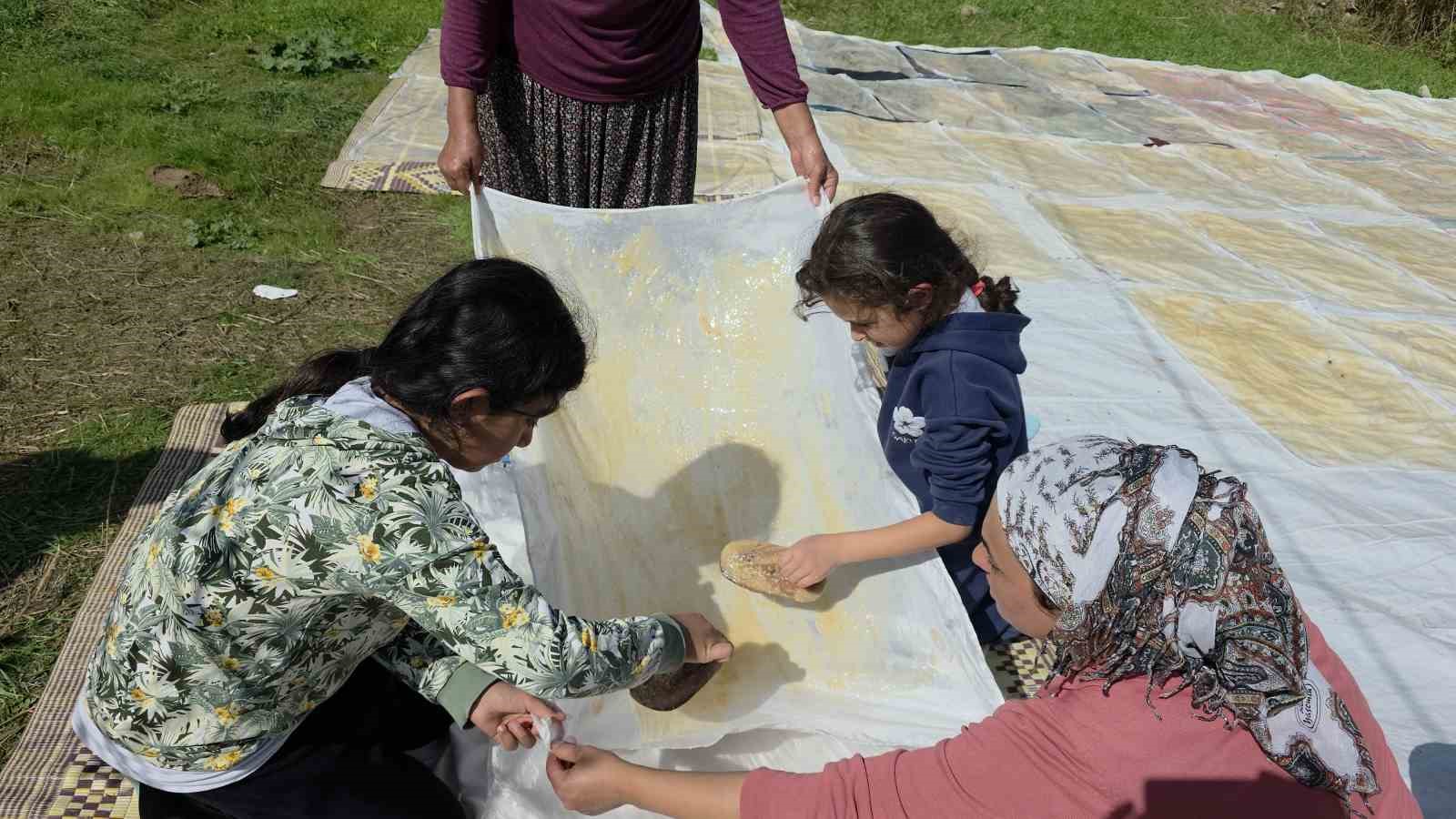 Diyarbakır’da bağ bozumu başladı