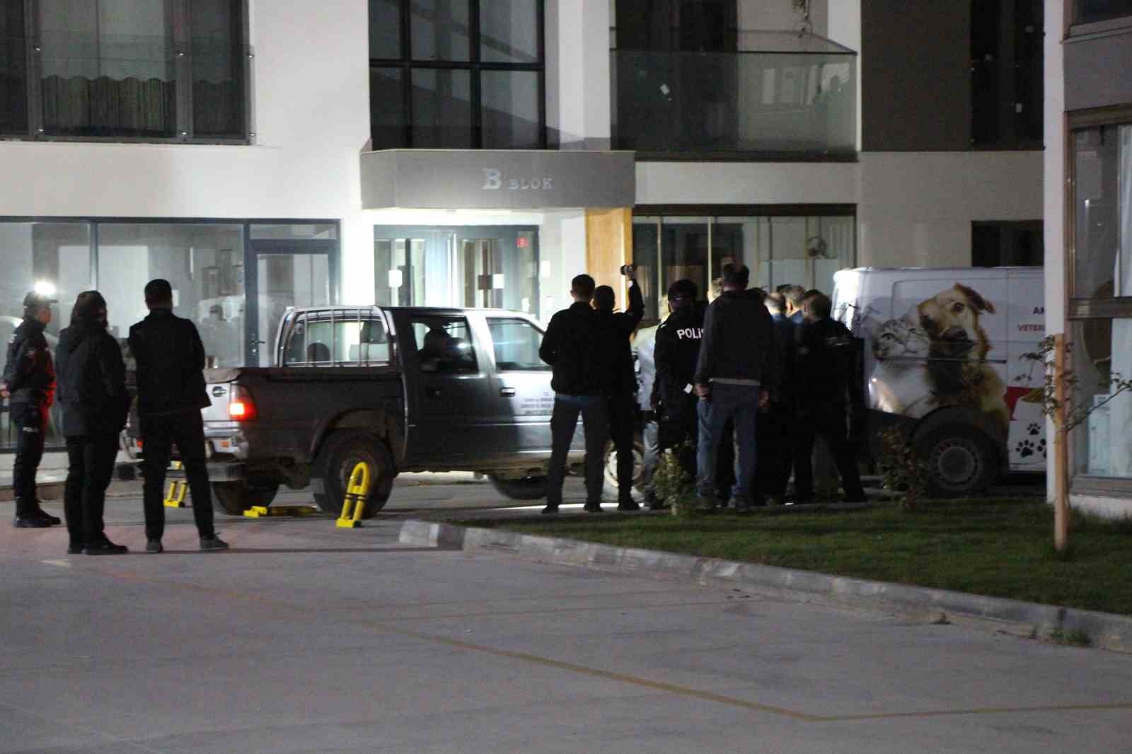 Amasya’da binaya giren yaban domuzu polis operasyonuyla etkisiz hale getirildi