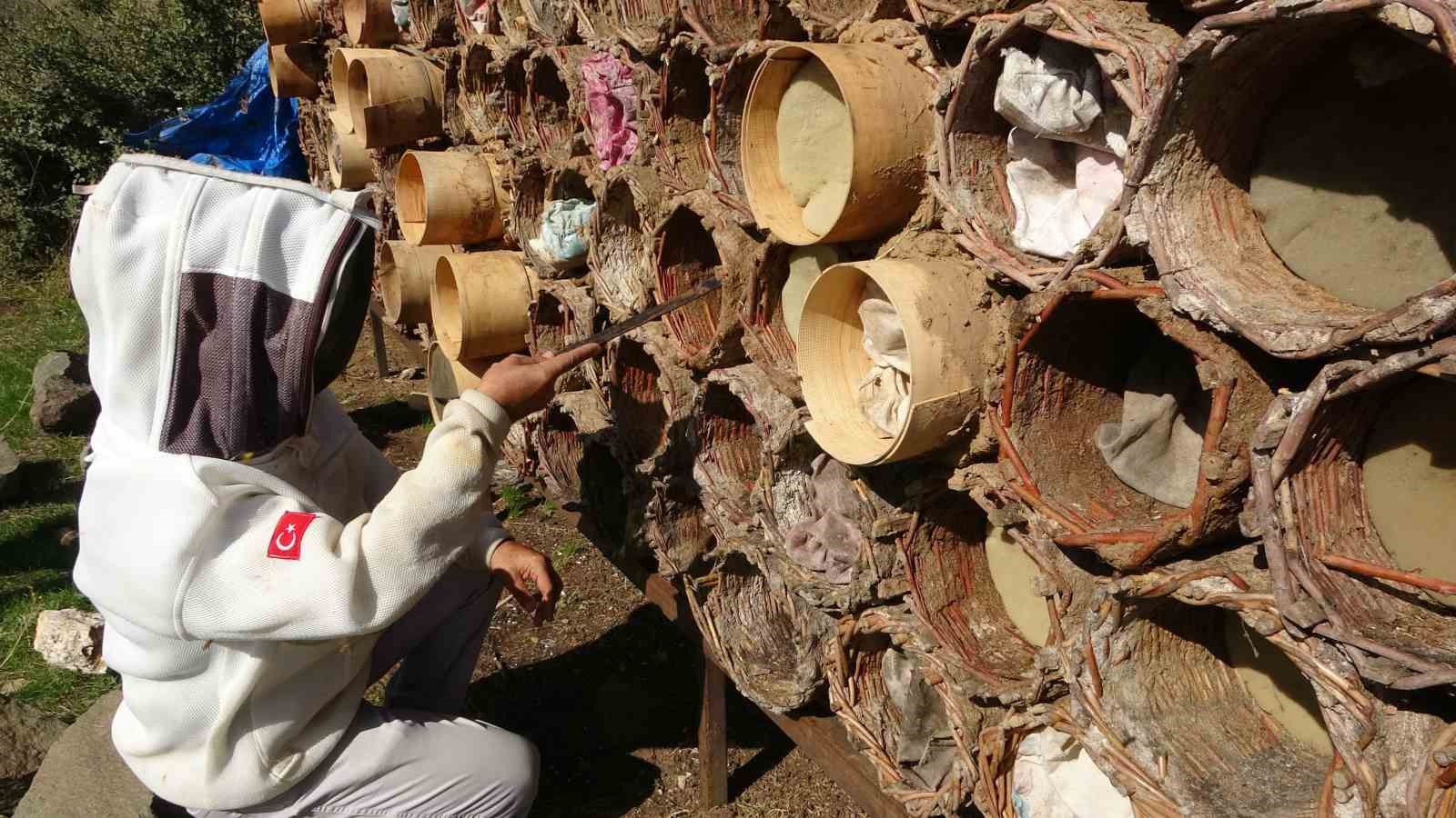 Bitlis’te dünyaca ödüllü karakovan balının hasadına başlanıldı