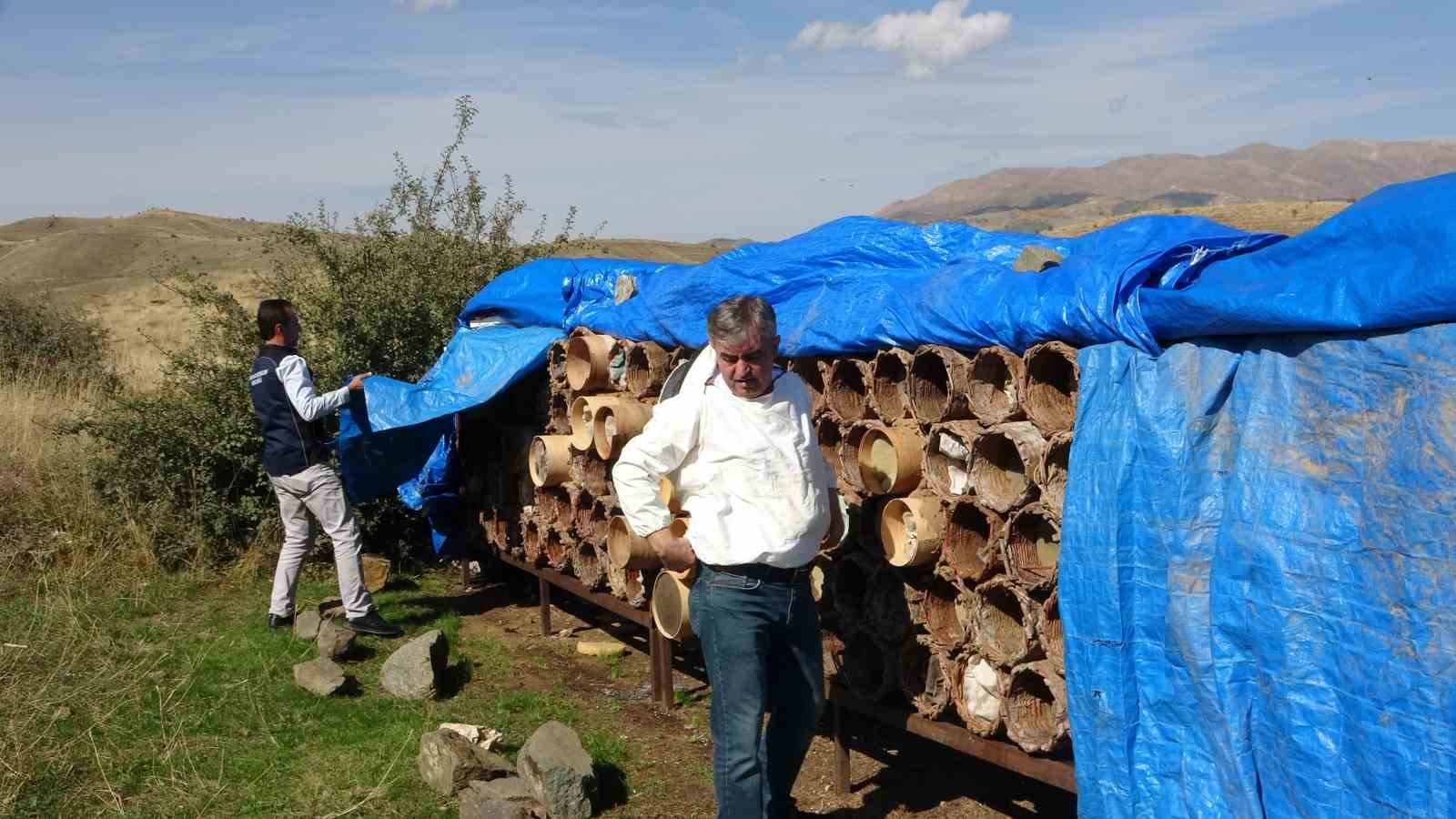 Bitlis’te dünyaca ödüllü karakovan balının hasadına başlanıldı